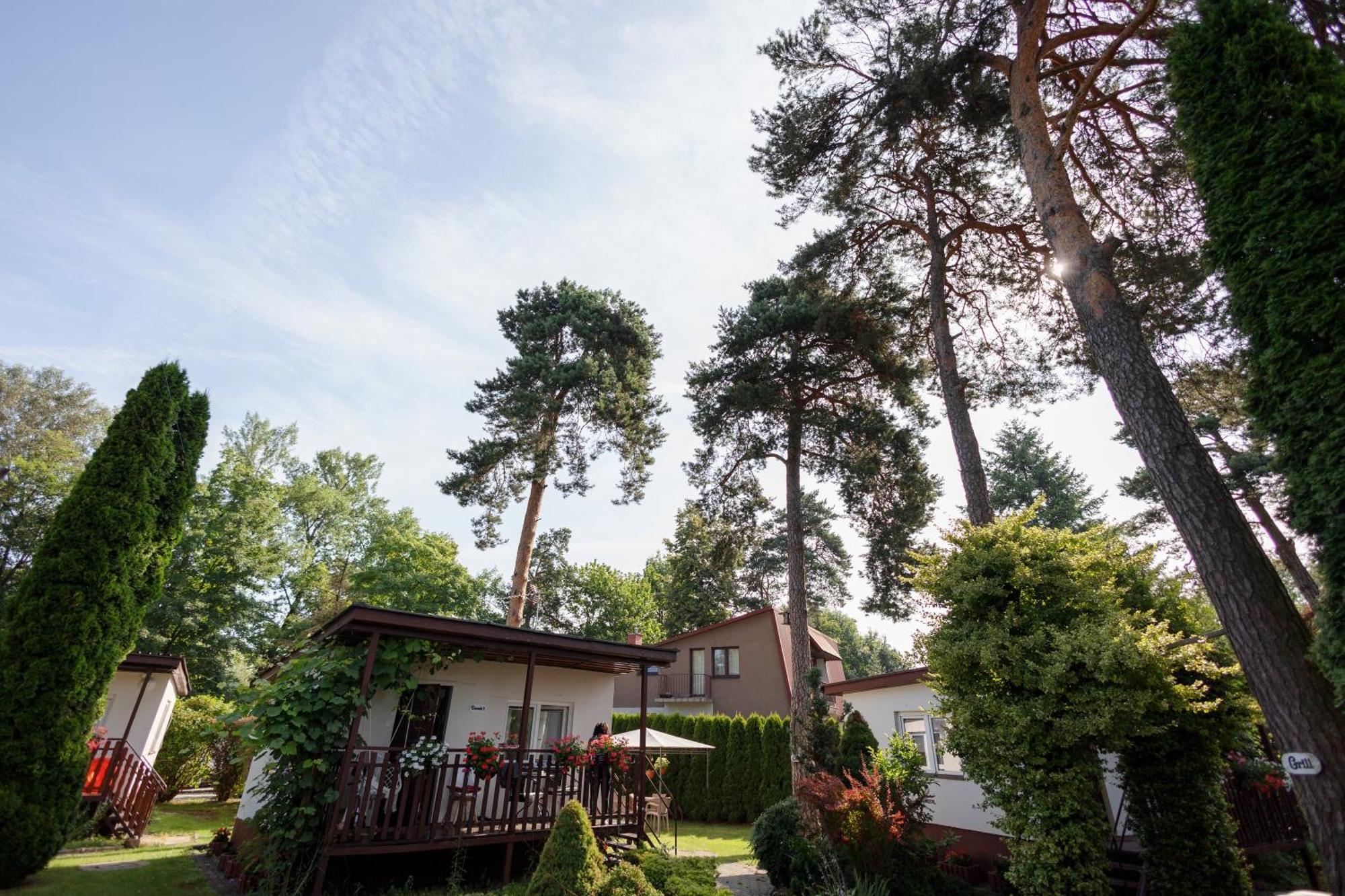 Rabapark- Domki Pod Krakowem Villa Gdów Exterior foto